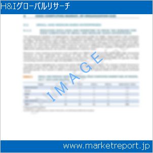 市場と産業調査レポートのイメージ